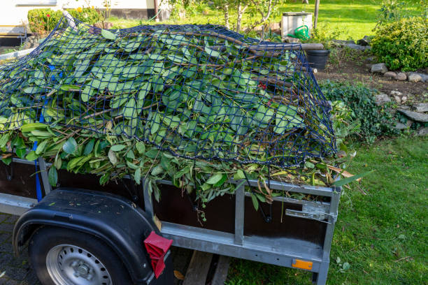 Recycling Services for Junk in Bayfield, CO